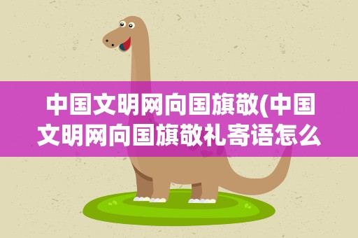 中国文明网向国旗敬(中国文明网向国旗敬礼寄语怎么提交)