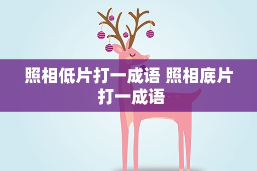照相低片打一成语 照相底片 打一成语