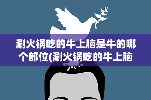 涮火锅吃的牛上脑是牛的哪个部位(涮火锅吃的牛上脑是指牛的哪个部位)