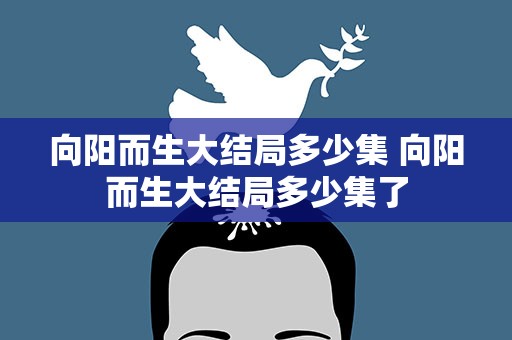 向阳而生大结局多少集 向阳而生大结局多少集了