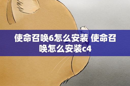 使命召唤6怎么安装 使命召唤怎么安装c4