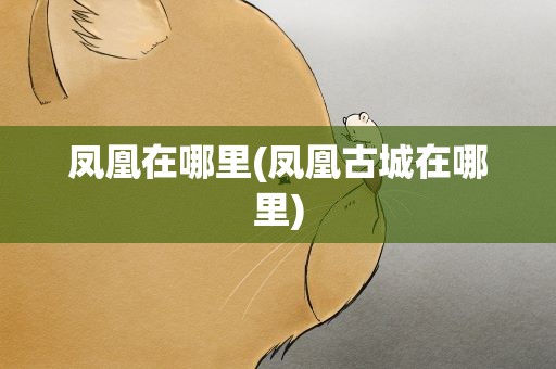 凤凰在哪里(凤凰古城在哪里)