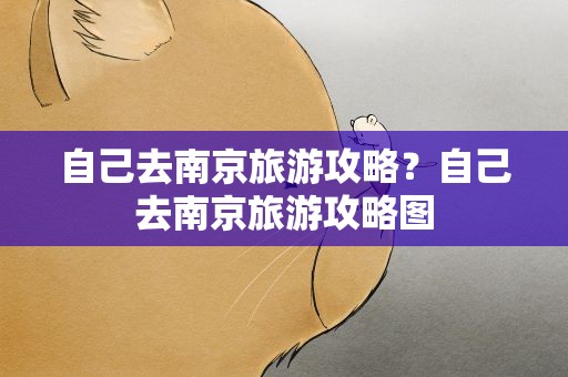 自己去南京旅游攻略？自己去南京旅游攻略图