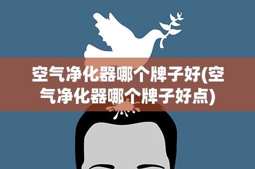 空气净化器哪个牌子好(空气净化器哪个牌子好点)