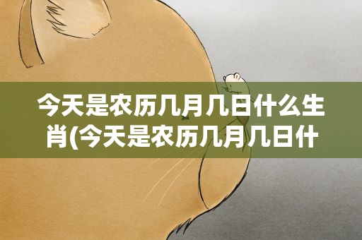 今天是农历几月几日什么生肖(今天是农历几月几日什么生肖日)