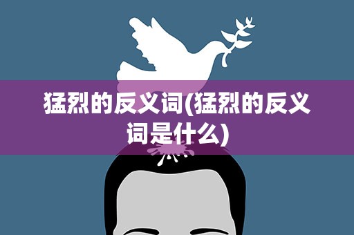 猛烈的反义词(猛烈的反义词是什么)
