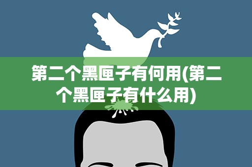 第二个黑匣子有何用(第二个黑匣子有什么用)