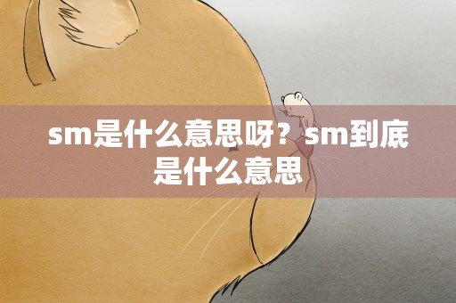 sm是什么意思呀？sm到底是什么意思