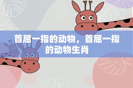 首屈一指的动物，首屈一指的动物生肖