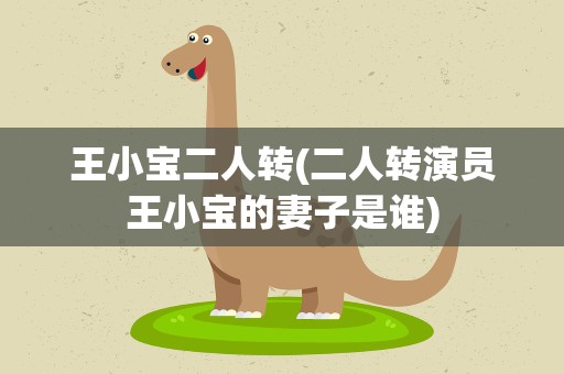 王小宝二人转(二人转演员王小宝的妻子是谁)