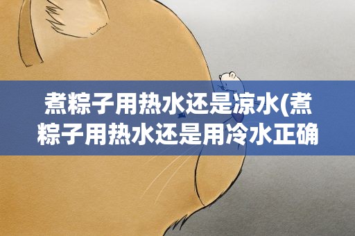 煮粽子用热水还是凉水(煮粽子用热水还是用冷水正确煮法是什么)