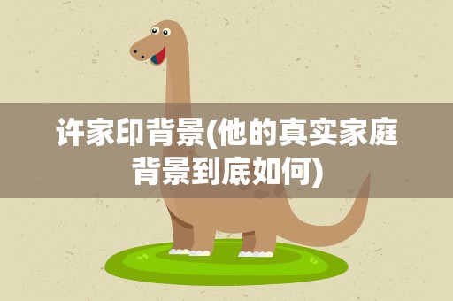 许家印背景(他的真实家庭背景到底如何)