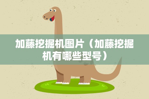 加藤挖掘机图片（加藤挖掘机有哪些型号）