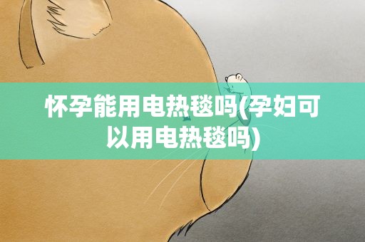 怀孕能用电热毯吗(孕妇可以用电热毯吗)