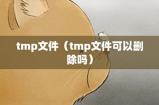 tmp文件（tmp文件可以删除吗）