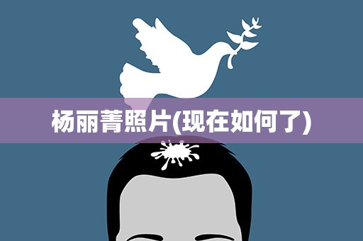 杨丽菁照片(现在如何了)