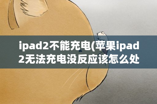 ipad2不能充电(苹果ipad2无法充电没反应该怎么处理)