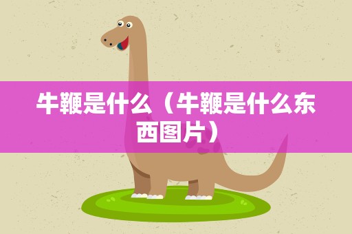 牛鞭是什么（牛鞭是什么东西图片）