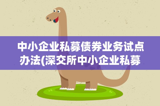 中小企业私募债券业务试点办法(深交所中小企业私募债券业务试点办法的正文)