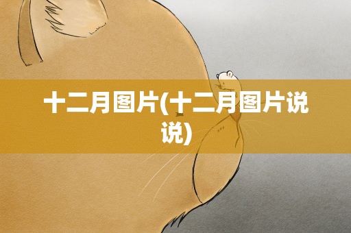 十二月图片(十二月图片说说)