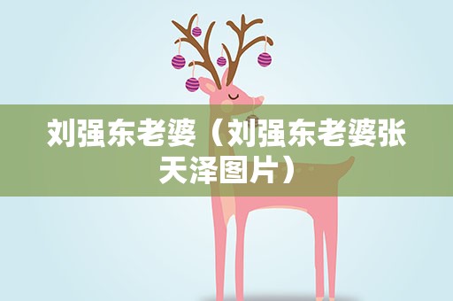 刘强东老婆（刘强东老婆张天泽图片）