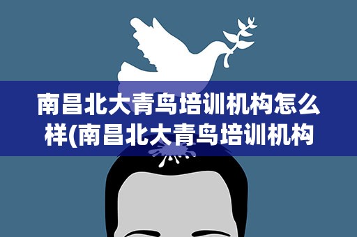 南昌北大青鸟培训机构怎么样(南昌北大青鸟培训机构怎么样啊)