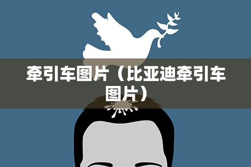 牵引车图片（比亚迪牵引车图片）