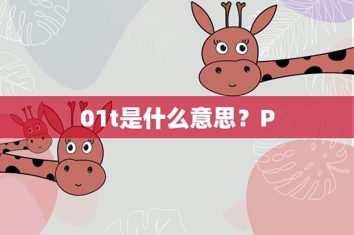 01t是什么意思？P