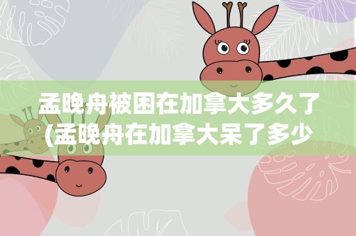 孟晚舟被困在加拿大多久了(孟晚舟在加拿大呆了多少天)