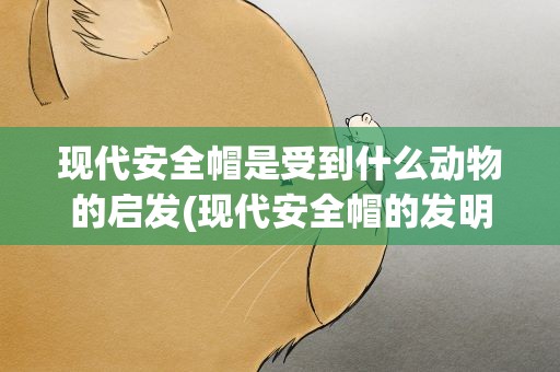 现代安全帽是受到什么动物的启发(现代安全帽的发明是受到了什么动物的启发)