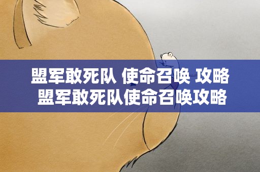 盟军敢死队 使命召唤 攻略 盟军敢死队使命召唤攻略图解