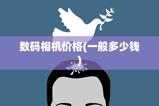 数码相机价格(一般多少钱)