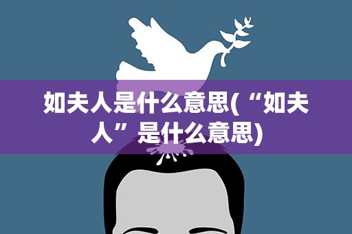 如夫人是什么意思(“如夫人”是什么意思)