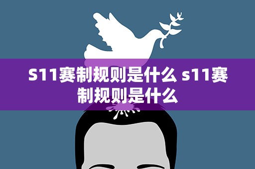 S11赛制规则是什么 s11赛制规则是什么