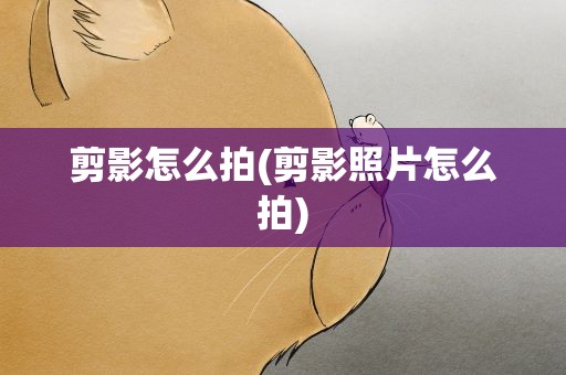 剪影怎么拍(剪影照片怎么拍)