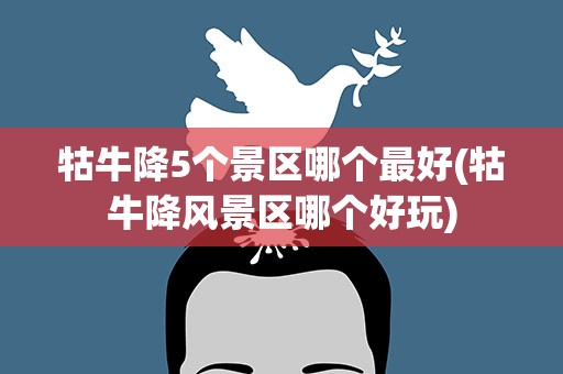牯牛降5个景区哪个最好(牯牛降风景区哪个好玩)