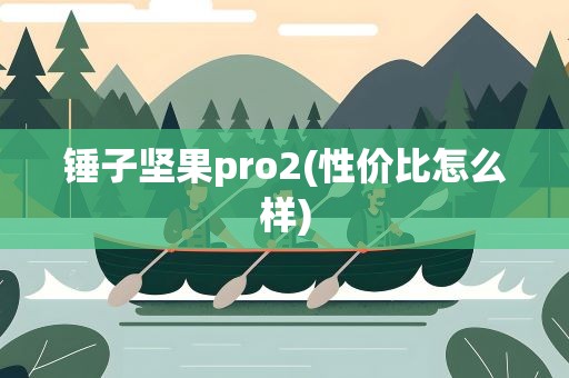 锤子坚果pro2(性价比怎么样)