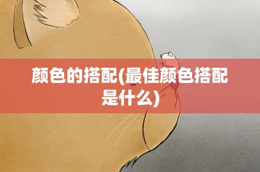 颜色的搭配(最佳颜色搭配是什么)