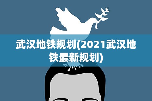 武汉地铁规划(2021武汉地铁最新规划)
