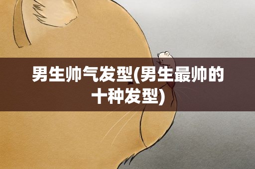 男生帅气发型(男生最帅的十种发型)