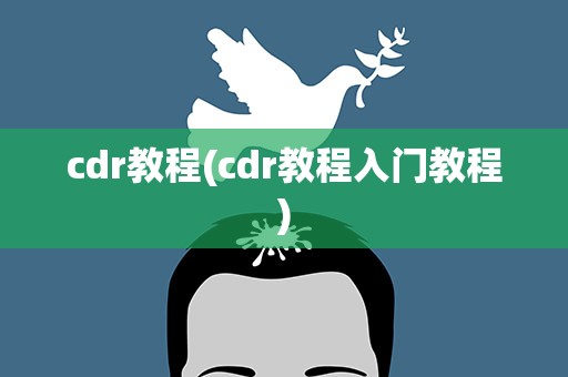 cdr教程(cdr教程入门教程)