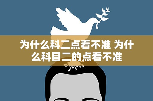 为什么科二点看不准 为什么科目二的点看不准