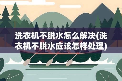 洗衣机不脱水怎么解决(洗衣机不脱水应该怎样处理)