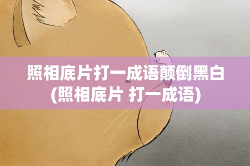 照相底片打一成语颠倒黑白(照相底片 打一成语)