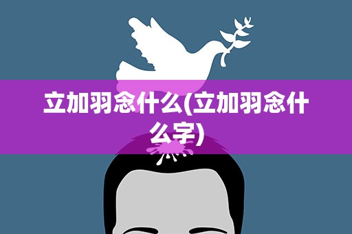 立加羽念什么(立加羽念什么字)
