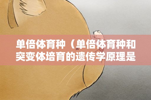 单倍体育种（单倍体育种和突变体培育的遗传学原理是一致的）