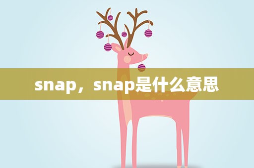 snap，snap是什么意思