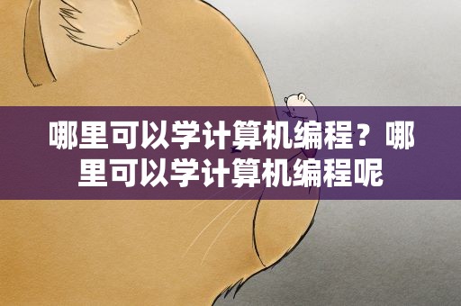 哪里可以学计算机编程？哪里可以学计算机编程呢