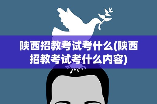 陕西招教考试考什么(陕西招教考试考什么内容)