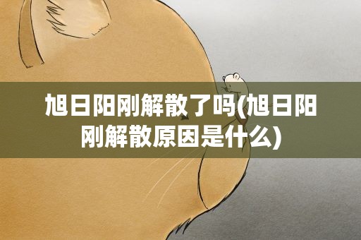 旭日阳刚解散了吗(旭日阳刚解散原因是什么)